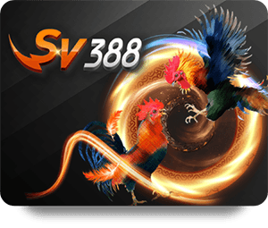 Tham Gia KUBET Casino Đẳng Cấp Để Nhận Quà Tặng Giá Trị